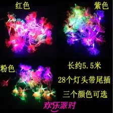 节日装饰布置用品彩灯节日led彩灯灯串串灯带尾插花瓣彩灯新款