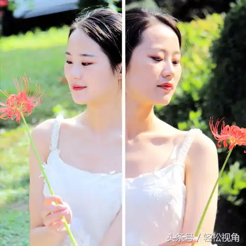 美女和彼岸花,哪个更美