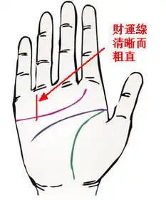 女人什么手相最招财女人什么手相财运好