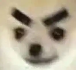 观小组讨论有感,姐妹们都会对crush点赞or关注福利姬或者大胸美女这种事下头吗