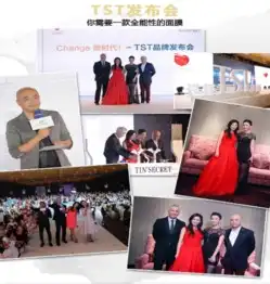 tst怎么招代理怎么发货代理模式是什么