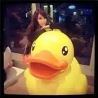大黄鸭头像女生大黄鸭头像