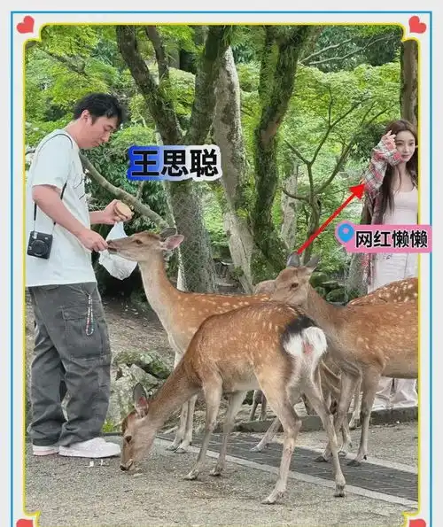 王思聪懒理黄一鸣,带女友懒懒奈良喂小鹿,抓娃娃,网友真潇洒