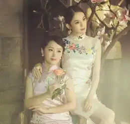 古力娜扎一个充满异域风情的旗袍女子