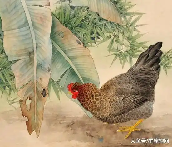 这3大生肖女,生的每一个孩子都优秀,一胎青龙,二胎白虎子女