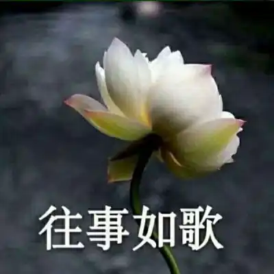 君兮染安度晚年