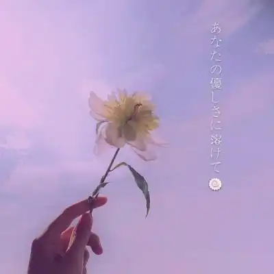 买足球在哪个平台买中国官方网站ios安卓通用版手机app