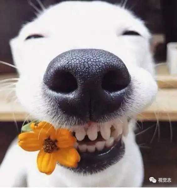 你笑起来真好看搜狐娱乐搜狐网