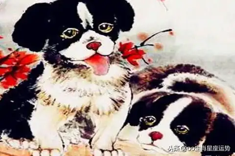 十二生肖属相婚配表,生肖属狗的男女最佳配对是谁你配对了吗