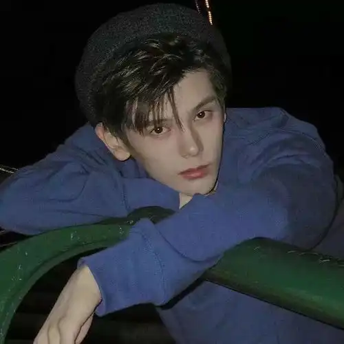 男头文案丨你是我心上百褶,亦是人间惊鸿客