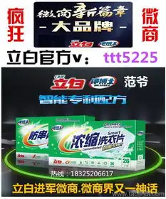 立白净博士洗衣片起批多少箱立白净博士代理价格