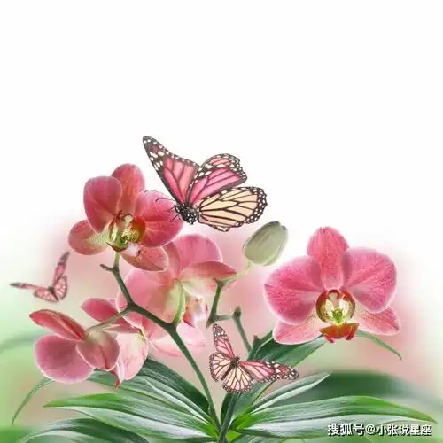 天生招财命的3大生肖女,后半生财运爆棚,以后多财多福