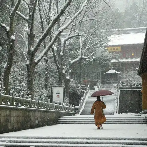 图集寺观雪