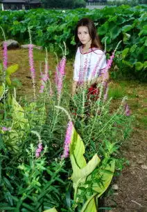 环境人像外拍绿色中的清新小女生中关村在线摄影论坛