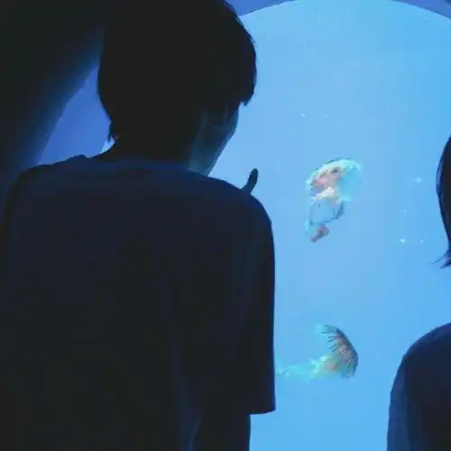 情侣头像丨温柔浪漫的情侣头像