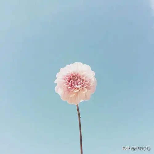 致自己要独立的句子,元气满满,每一句都很棒