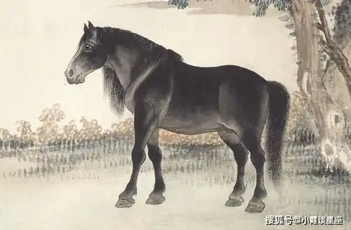 新年喜事来报道,三属相好运到来,财运深厚,贵人不缺