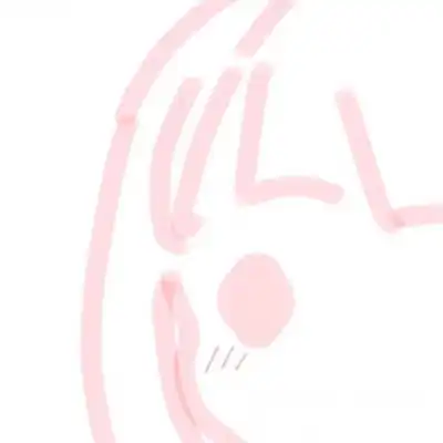卡通简笔画女生头像岁月还漫长岁月静好