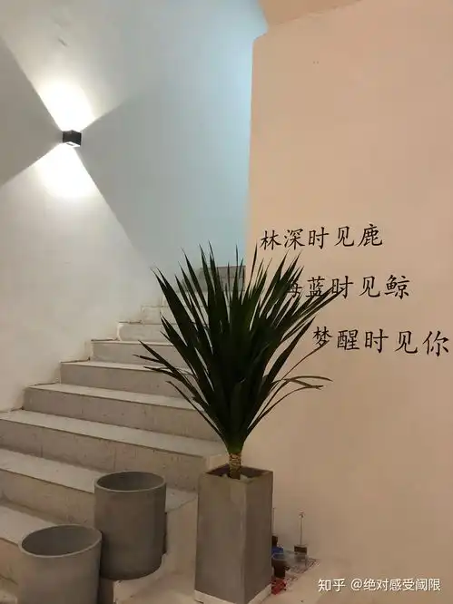 天秤男和白羊女是不是很不适合