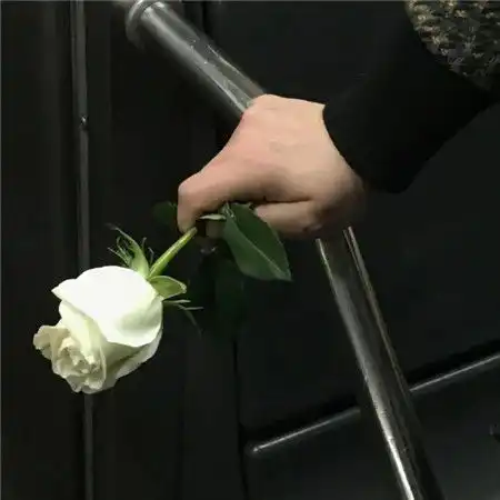 个性微信背景图唯美吸引人梦想的生活朴实无华且枯燥