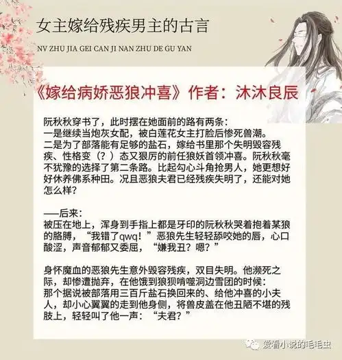5本女主嫁给残疾男主的古言,嫁给残疾皇子后爆红,温馨治愈