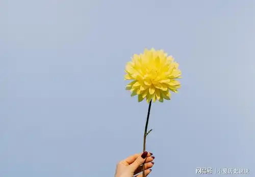 余生不长,凡事看轻看淡,一切顺其自然