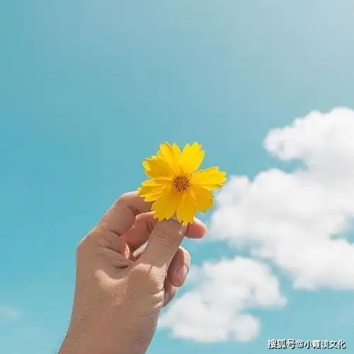 经典充满正能量的句子,励志走心,当你迷茫时看看