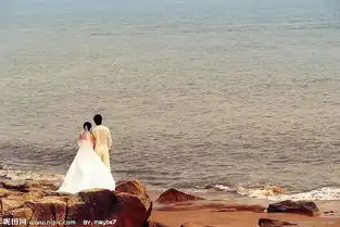 求海边婚纱情侣一左一右的背影图片,,,谢谢啦
