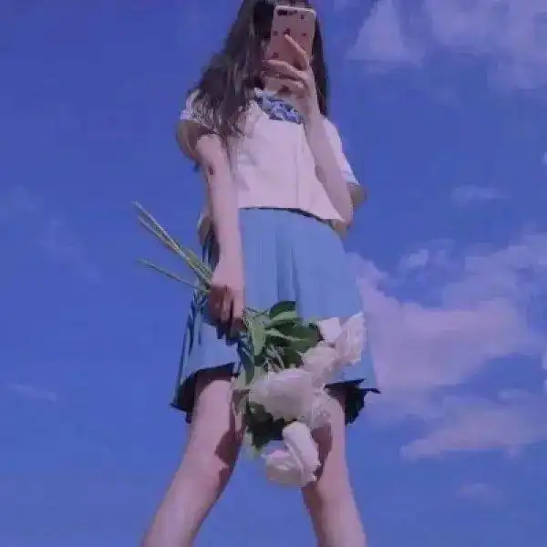 搜狐网