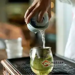 揭秘一杯茶在人体内的旅行