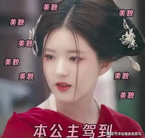 网剧传闻中的陈芊芊,因女主人设上热搜,赵露思演技被认可