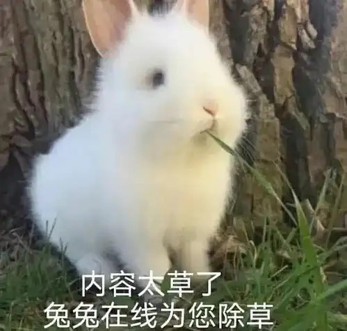 做了一个梦