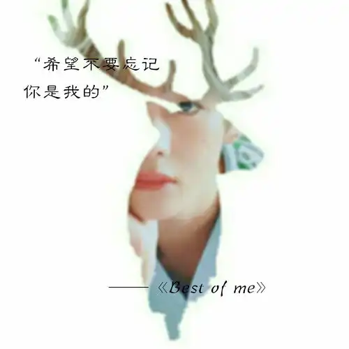 哔哩哔哩专栏