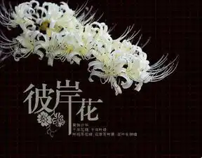 有没有好看的彼岸花头像