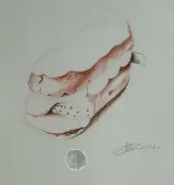 彩铅入门公开课写实色彩美术绘画设计素描