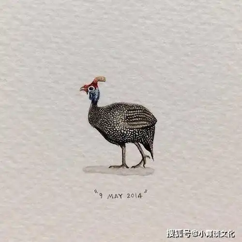 年度扎心小短句,话糙理不糙,太现实了