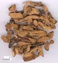 常用中药鉴别歌诀附图谱