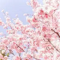 头像星空图片大全唯美梦幻