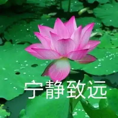 中老年人头像风景和花老年人专用微信头像