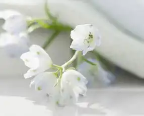庆祝2017年元宵节的对联