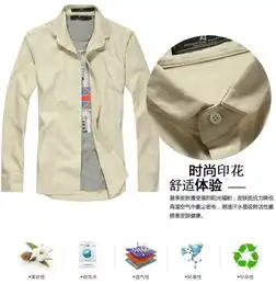 ppz男装秋季新款时尚休闲长袖衬衫纯色棉麻长袖衬衫男衬衣a3203