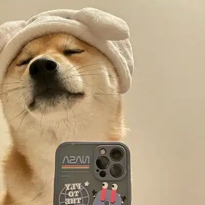 狗狗自拍照头像,狗狗拿手机自拍头像图片