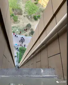 突发山东12岁女孩坠楼身亡最不愿看到的新闻,警醒每一位家长