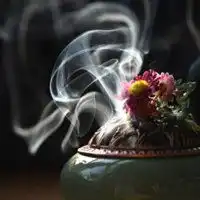 静心才能思远的头像微信头像图片大全