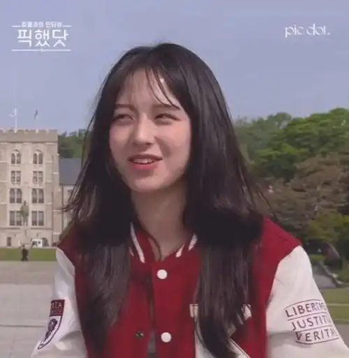 这个韩国女大学生因酷似jisoo汤唯宋智孝等,惊艳外貌走红网络