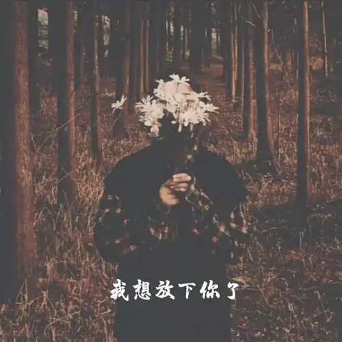 未曾说出口的话