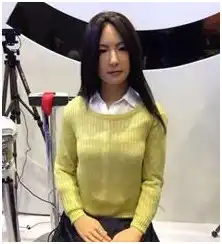 2016世界机器人博览会介绍