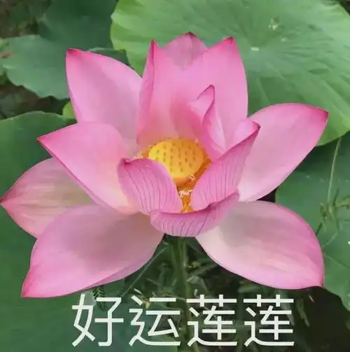 680个学位,今天开始报名2024年绵阳涪城区公办学校共享学位招生安排出炉