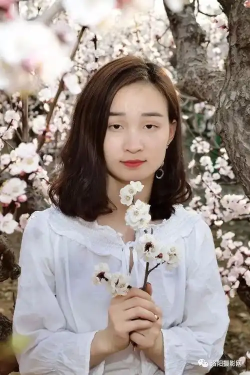 五龙沟杏花花开成海,女生在花海中庆祝生日