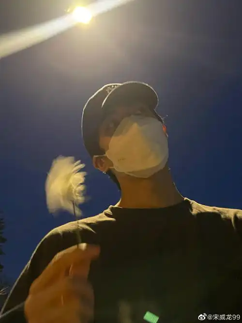 组图宋威龙晒六宫格街头随拍手拿小雏菊少年感十足